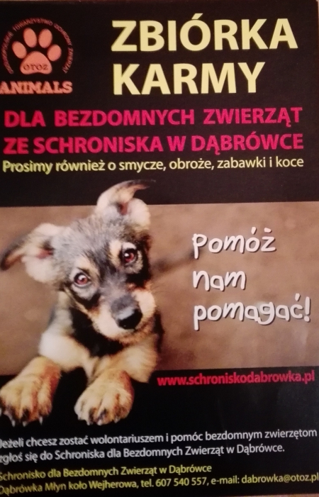 Zbiórka na rzecz schroniska